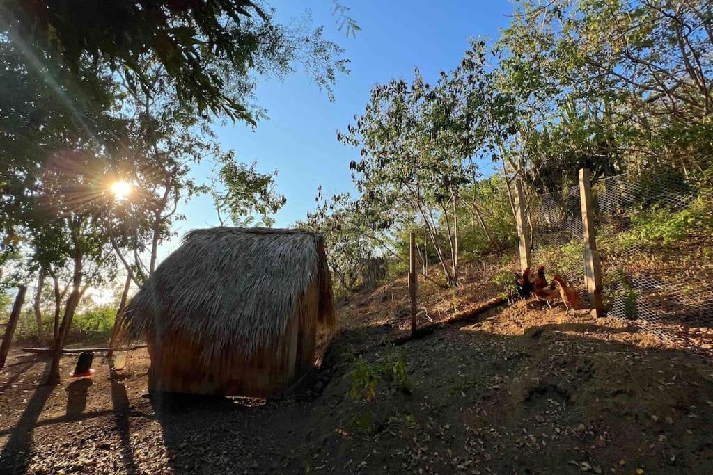 فيلا Casa Del Sapo Yolina المظهر الخارجي الصورة
